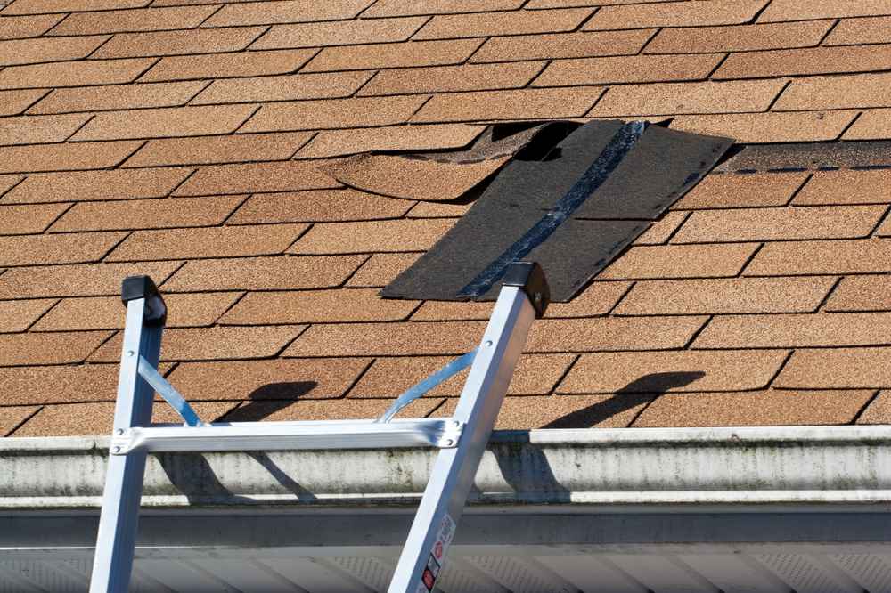 Roof Leaks Expert
