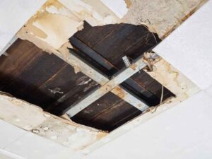 Roof Leak Repair Expert